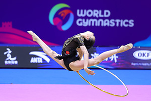Wang Qi