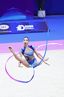 Wang Qi